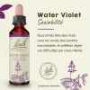 Fleur de Bach Water Violet Hottonia palustris - flacon de 20 ml