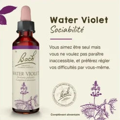 Fleur de Bach Water Violet Hottonia palustris - flacon de 20 ml