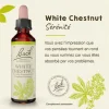 Fleur de Bach White Chestnut Aesculus hippocastanum - flacon de 20 ml