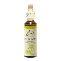 Fleur de Bach Wild Rose Rosa canina - flacon de 20 ml