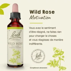 Fleur de Bach Wild Rose Rosa canina - flacon de 20 ml