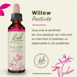 Fleur de Bach Willow Salix vitellina - flacon de 20 ml