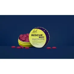 Fleurs de Bach Rescue nuit pastilles saveur cassis Famadem - boite de 50g
