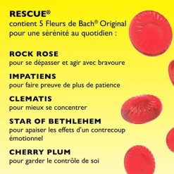 Fleurs de Bach Rescue pastilles saveur pastèque Famadem - boite de 50g
