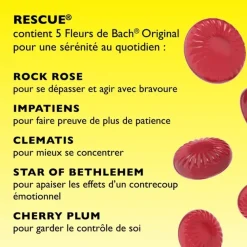 Fleurs de Bach Rescue pastilles saveur fruits rouges Famadem - boite de 50g