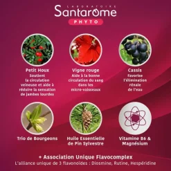 Fluidiveine Jambes légères triple action Santarome