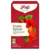 Fraise Épicée infusion douce et épicée bio Yogi - boite de 17 sachets