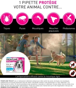 Frontline Tri-Act chiens 10-20 kg