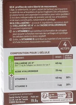 GCA FLEX + Protection Cartilage Santé Verte - boîte de 30 gélules végétales