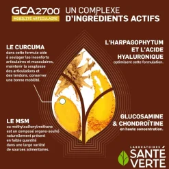 GCA 2700 mobilité articulaire Santé Verte