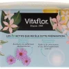 Gelée royale bio 700 mg Immunité & croissance junior apiculte Vitaflor - format 14 jours