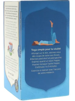 Ginkgo bio Yogi Tea - boite de 17 sachets