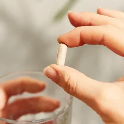 Ginseng coréen Solgar - pot de 50 gélules