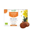 Gommes chantres voix enrouée bio HerbalGem - boite de 24 gommes
