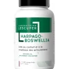 Harpago-boswellia Lescuyer - pot de 60 comprimés