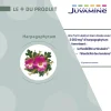 Harpagophytum Articulations Juvamine - boîte de 30 comprimés