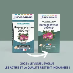 Harpagophytum Articulations Juvamine - boîte de 30 comprimés