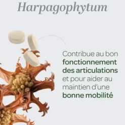 Harpagophytum bio Articulations Super Diet - pot de 80 comprimés
