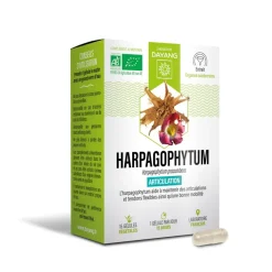 Harpagophytum Bio sphère articulaire Dayang