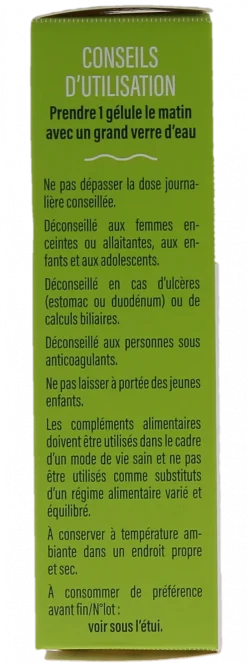 Harpagophytum Bio sphère articulaire Dayang