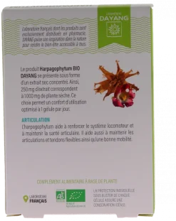 Harpagophytum Bio sphère articulaire Dayang