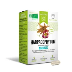 Harpagophytum Bio sphère articulaire Dayang