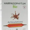 Harpagophytum Bio Super Diet - 20 ampoules de 15 ml