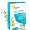 Harpagophytum prêle bambou bio Fleurance nature - boîte de 40 gélules