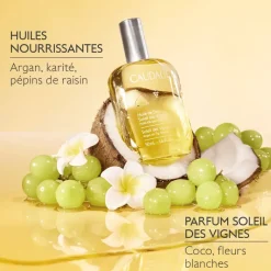 Huile de soin Soleil des Vignes Caudalie - flacon de 100ml