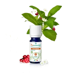 Huile essentielle bio Gaulthérie Puressentiel