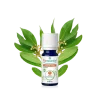 Huile essentielle bio Laurier Noble Puressentiel - flacon de 5 ml