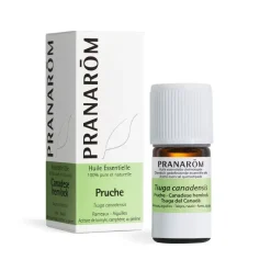 Huile essentielle de pruche Pranarôm - flacon de 5ml