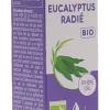 Huile essentielle d'Eucalyptus Radié BIO Naturactive - flacon de 10ml