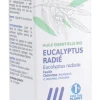 Huile essentielle eucalyptus radié Bio Ladrôme - flacon de 10ml
