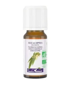 Huile essentielle Eucalyptus radiata Bio Dr Valnet - 10 ml