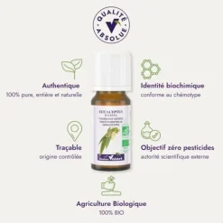 Huile essentielle Eucalyptus radiata Bio Dr Valnet - 10 ml