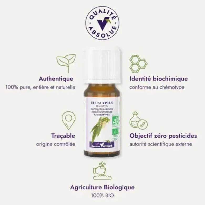 Huile essentielle Eucalyptus radiata Bio Dr Valnet - 10 ml
