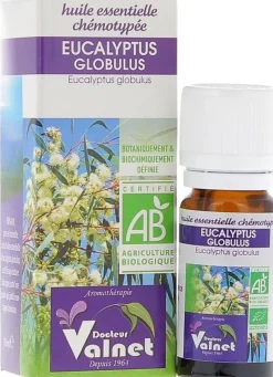 Huile essentielle Eucalyptus globulus Bio Dr Valnet - 10 ml