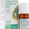 Huile Essentielle Eucalytus Globulus Bio n°07 Arkopharma - flacon de 10 ml