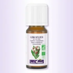 Huile essentielle Giroflier (Clou de) Bio Dr Valnet - 5 ml
