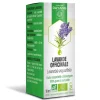 Huile essentielle Lavande officinale bio Dayang - flacon de 10ml