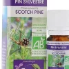 Huile essentielle Pin sylvestre Bio Dr Valnet - 10 ml