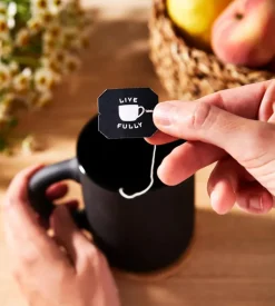 Infusion aux plantes bio fenouil anis cumin des prés Choice - boite de 17 sachets