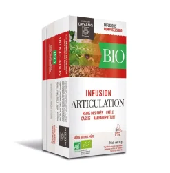 Infusion BIO articulation arôme mûre Dayang Tradition - boîte de 20 sachets