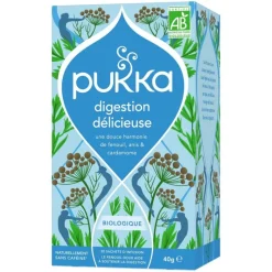 Infusion digestion délicieuse bio Pukka - boîte de 20 sachets