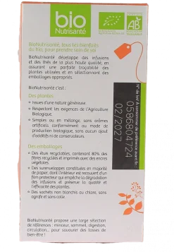 Infusion froide digestion saveur mangue-pêche bio Vitavea - boite de 20 sachets