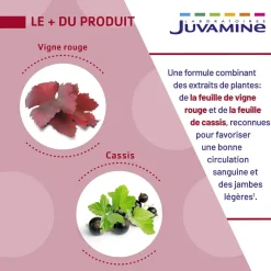 Jambes légères vigne rouge cassis Juvamine
