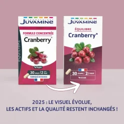 Juvamine Cranberry formule concentrée – 60 gélules