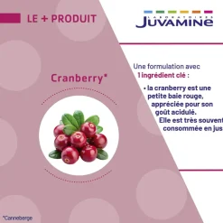 Juvamine Cranberry formule concentrée – 60 gélules