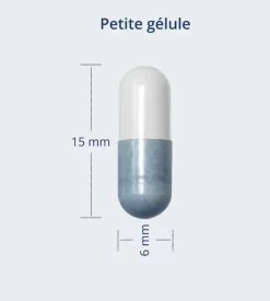 K53 Advance Kijimea